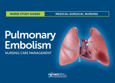 Comprehensive Guide to Pneumothorax Treatment: Effective Methods and Recovery Strategies